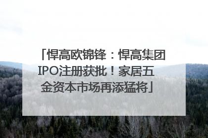 悍高欧锦锋：悍高集团IPO注册获批！家居五金资本市场再添猛将