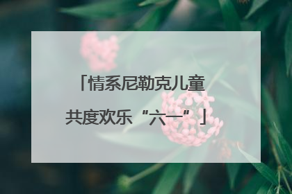情系尼勒克儿童 共度欢乐“六一”