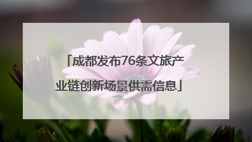 成都发布76条文旅产业链创新场景供需信息