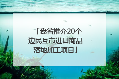 我省推介20个边民互市进口商品落地加工项目