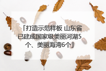 打造示范样板 山东省已建成国家级美丽河湖5个、美丽海湾6个