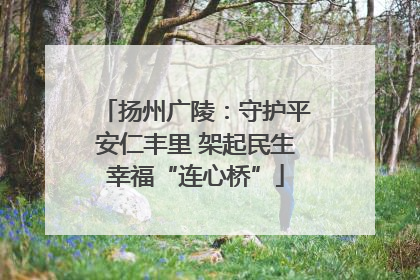 扬州广陵：守护平安仁丰里 架起民生幸福“连心桥”