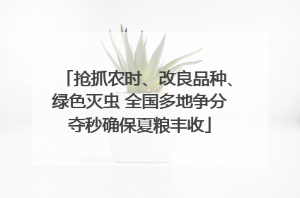 抢抓农时、改良品种、绿色灭虫 全国多地争分夺秒确保夏粮丰收