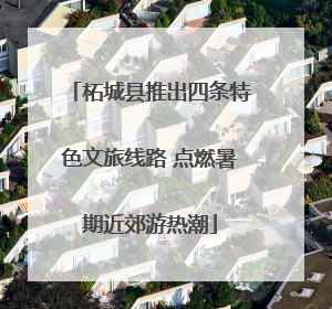 柘城县推出四条特色文旅线路 点燃暑期近郊游热潮