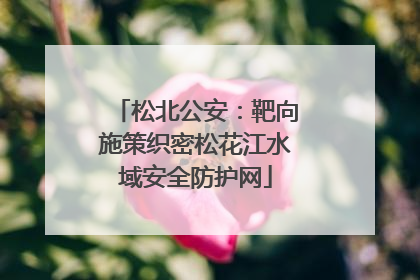 松北公安：靶向施策织密松花江水域安全防护网