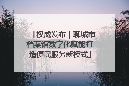 权威发布｜聊城市档案馆数字化赋能打造便民服务新模式