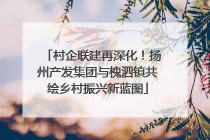 村企联建再深化！扬州产发集团与槐泗镇共绘乡村振兴新蓝图