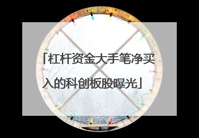 杠杆资金大手笔净买入的科创板股曝光