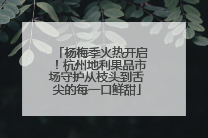 杨梅季火热开启！杭州地利果品市场守护从枝头到舌尖的每一口鲜甜