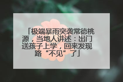极端暴雨突袭常德桃源，当地人讲述：出门送孩子上学，回来发现路“不见”了