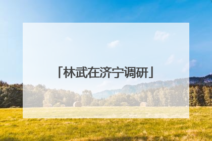 林武在济宁调研