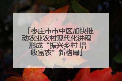 枣庄市市中区加快推动农业农村现代化进程 形成“振兴乡村 增收富农”新格局
