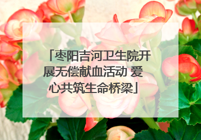 枣阳吉河卫生院开展无偿献血活动 爱心共筑生命桥梁