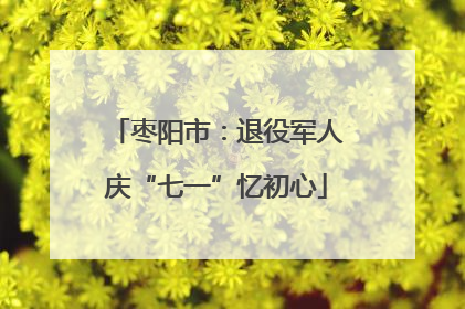 枣阳市：退役军人庆“七一”忆初心