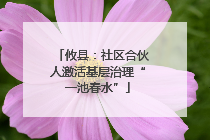 攸县：社区合伙人激活基层治理“一池春水”