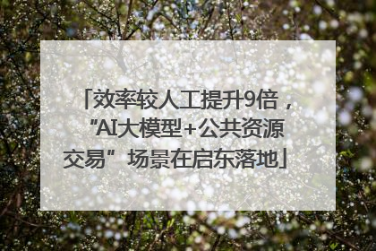效率较人工提升9倍，“AI大模型+公共资源交易”场景在启东落地