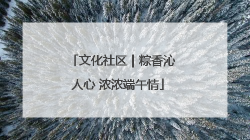 文化社区｜粽香沁人心 浓浓端午情