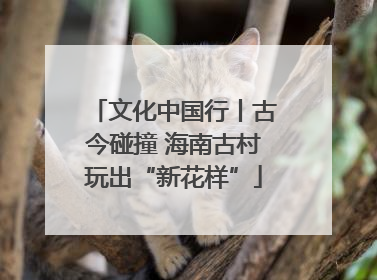 文化中国行丨古今碰撞 海南古村玩出“新花样”