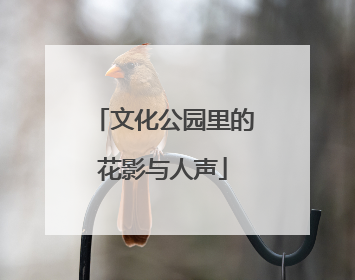 文化公园里的花影与人声