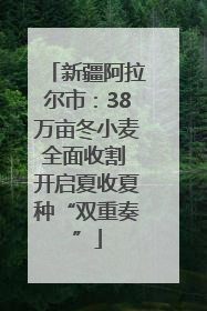 新疆阿拉尔市：38万亩冬小麦全面收割 开启夏收夏种“双重奏”