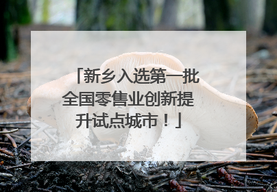 新乡入选第一批全国零售业创新提升试点城市！