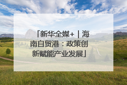 新华全媒+｜海南自贸港：政策创新赋能产业发展