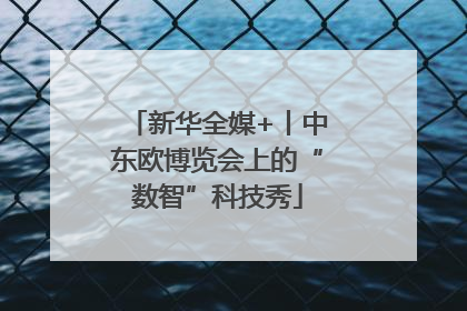 新华全媒+丨中东欧博览会上的“数智”科技秀