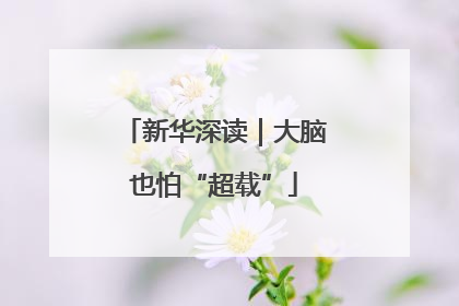 新华深读｜大脑也怕“超载”