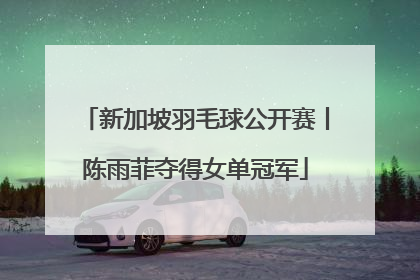 新加坡羽毛球公开赛丨陈雨菲夺得女单冠军