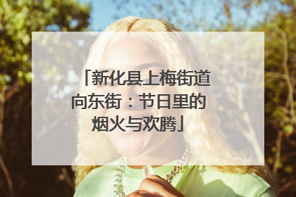 新化县上梅街道向东街：节日里的烟火与欢腾