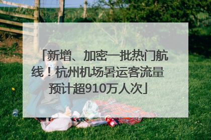 新增、加密一批热门航线！杭州机场暑运客流量预计超910万人次