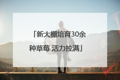 新大棚培育30余种草莓 活力拉满