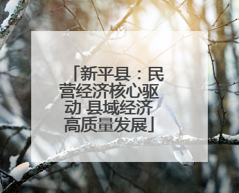 新平县：民营经济核心驱动 县域经济高质量发展