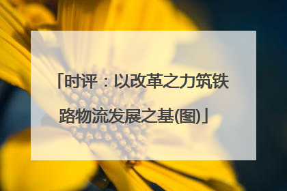 时评：以改革之力筑铁路物流发展之基(图)