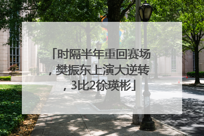 时隔半年重回赛场，樊振东上演大逆转，3比2徐瑛彬