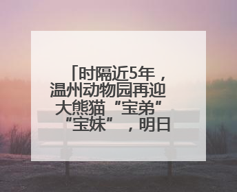 时隔近5年，温州动物园再迎大熊猫“宝弟”“宝妹”，明日正式开馆！