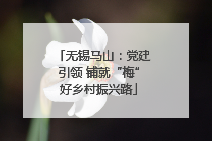 无锡马山：党建引领 铺就“梅”好乡村振兴路