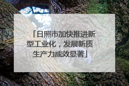 日照市加快推进新型工业化，发展新质生产力成效显著