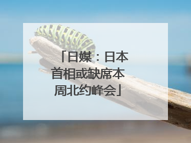 日媒：日本首相或缺席本周北约峰会