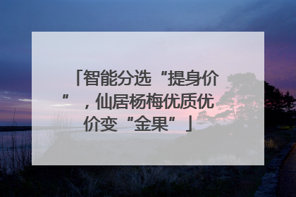 智能分选“提身价”，仙居杨梅优质优价变“金果”