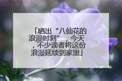 晒出“八仙花的浪漫时刻”，今天，不少读者将这份浪漫延续到家里