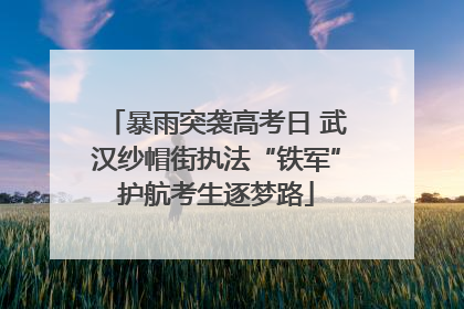 暴雨突袭高考日 武汉纱帽街执法“铁军”护航考生逐梦路