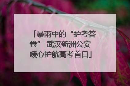 暴雨中的“护考答卷” 武汉新洲公安暖心护航高考首日
