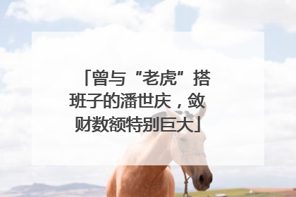 曾与“老虎”搭班子的潘世庆，敛财数额特别巨大