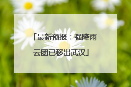 最新预报：强降雨云团已移出武汉