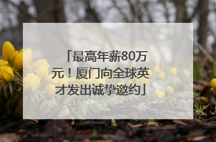 最高年薪80万元！厦门向全球英才发出诚挚邀约
