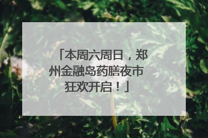 本周六周日，郑州金融岛药膳夜市狂欢开启！