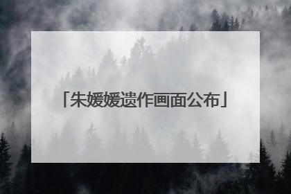 朱媛媛遗作画面公布