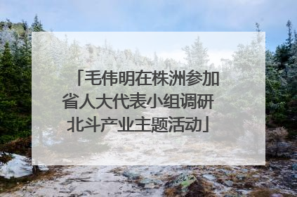 毛伟明在株洲参加省人大代表小组调研北斗产业主题活动