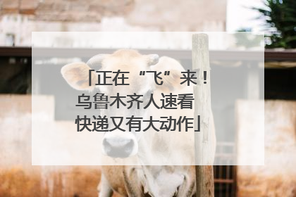 正在“飞”来！乌鲁木齐人速看 快递又有大动作